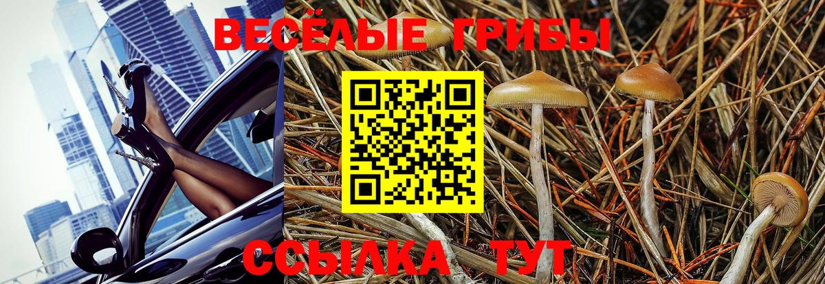 Псилоцибиновые грибы MAGIC MUSHROOMS Ковров