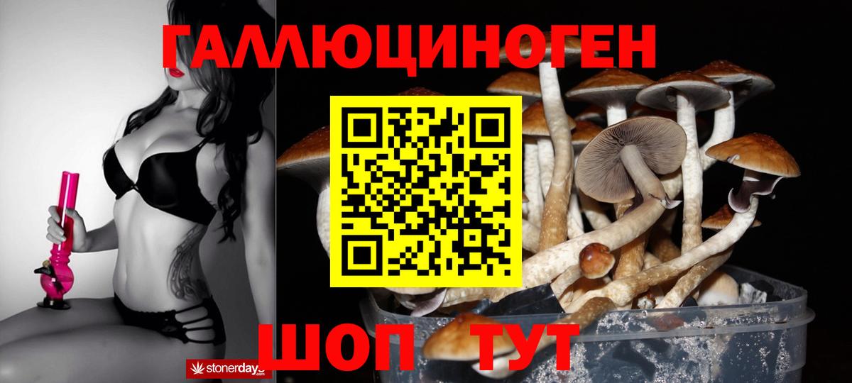 Галлюциногенные грибы Psilocybe  Вход с VPN  Псилоцибиновые грибы Psilocybe  Ковров 